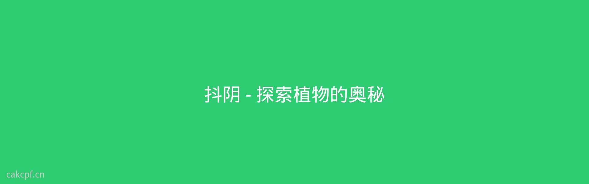 91植物传媒服务展示