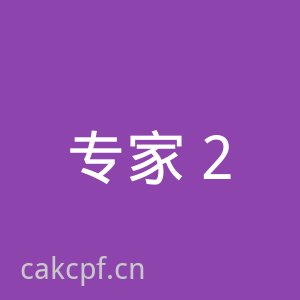 91导演王芳