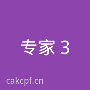 91摄影师张三